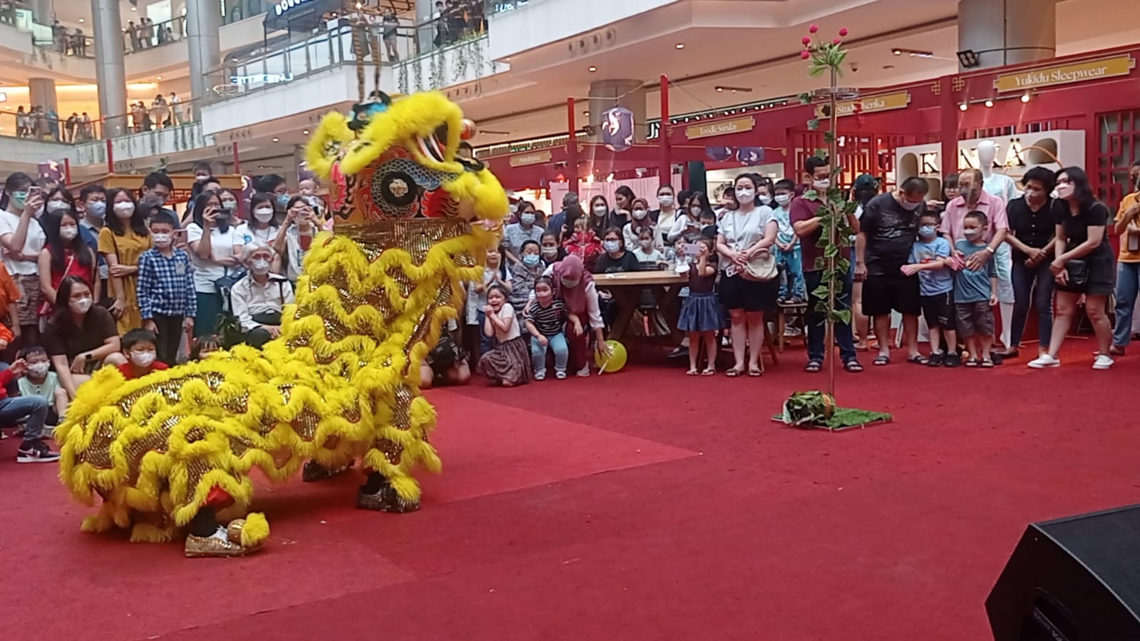 WhatsApp Image 2024-01-02 at 16.04.12